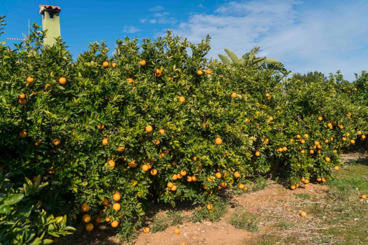 Casa La Naranja Boutique B&B Pedreguer Ngoại thất bức ảnh